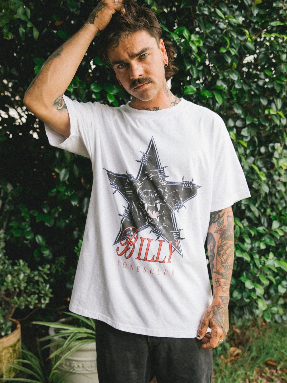 Star Cat Tee - Vintage White